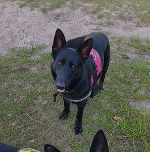 Meet your Posher, Nora